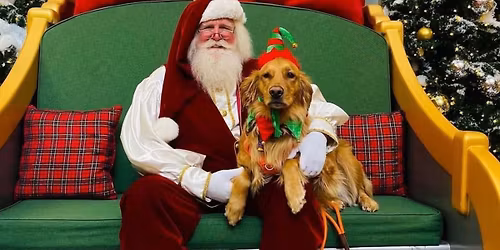 Pet Night with Santa