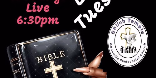 Bible Study 