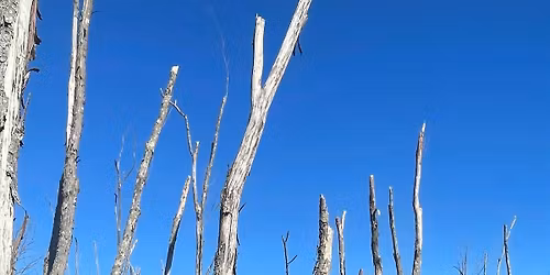 Homeschool Day: Winter Habitat Hike