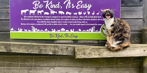 Halloween at The Retreat Animal Rescue \ud83c\udf83\ud83d\udc7b