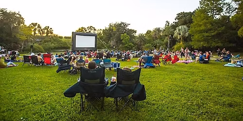 Movie in the Park