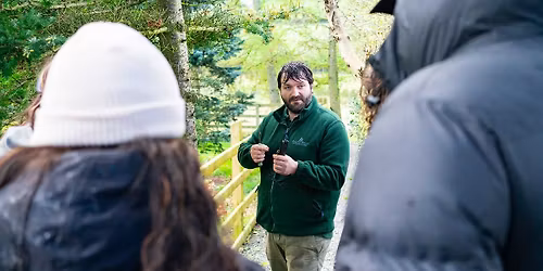 Adult Foraging & Bushcraft Cookery Course near Ballynahinch, County Down