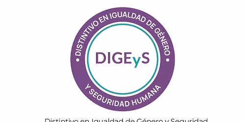 Lanzamiento del DIGEyS 