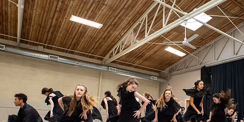 Sequoia Symphony Orchestra: From Brass to the Blues