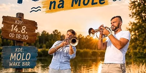 Muzikanti na tripu