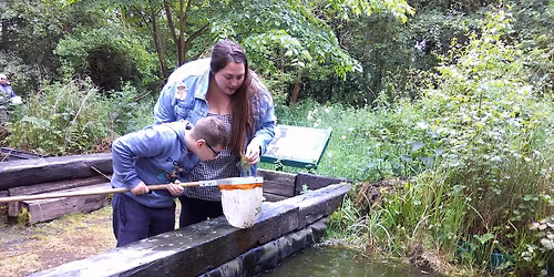 Family Pond Dipping