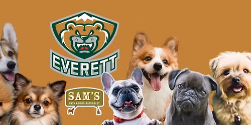 Corgi Trials | Sam's Great Small Dog Race Series