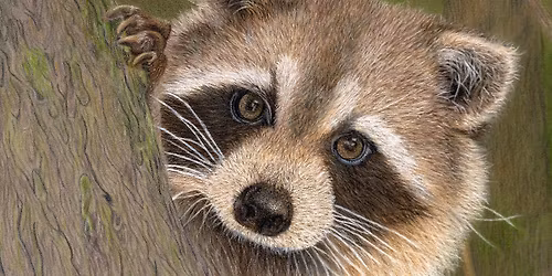 Original Wildlife Art Exhibition