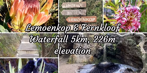Lemoenkop & Fernkloof Waterfall 5km - 226m elevation