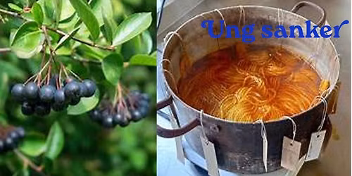 Plantefarging med aroniab\u00e6r