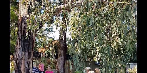 Plant sale