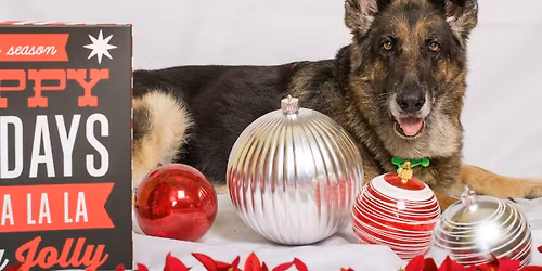 Healy Pack Holiday Mini Sessions, Pet Supermarket, S. Pasadena