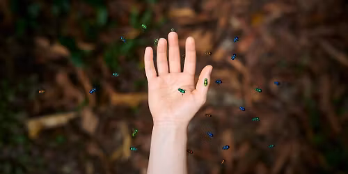 ARTtalk: Telling of the Bees, Jake Eshelman