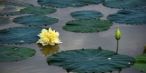 Sunday Meditation