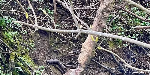 Mindful May River Walk