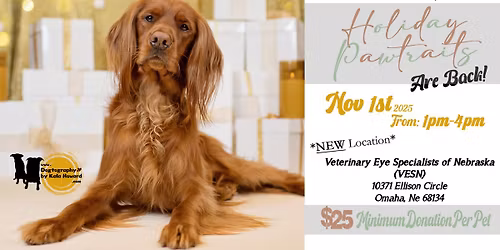 Holiday Pawtraits 2025