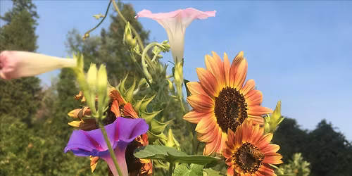Garden Variety: A Botanical Cabaret
