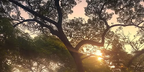 Guided Growth Journey by Book Author: Jacqueline Gore