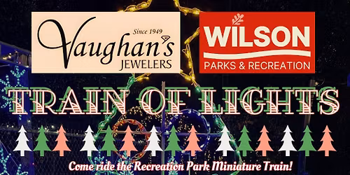 Vaughans Jewelers Train of Lights