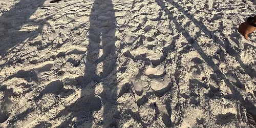 Memorial Day open water swim 