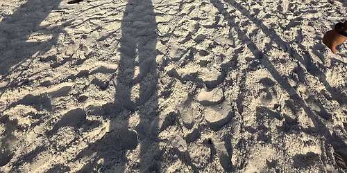 Memorial Day open water swim