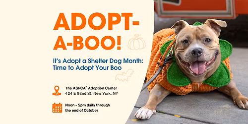 Adopt-A-Boo at the ASPCA Adoption Center