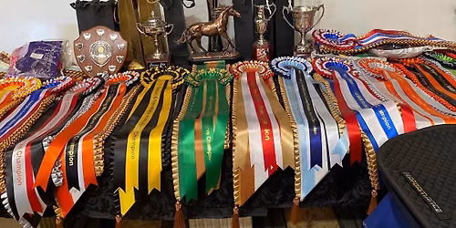 Selston Equine of the Year Show and October Winter Series Show