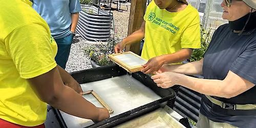 Paper making with Michele Brody
