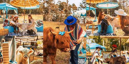 The Shaggy Cow Lounge & Cabanas w/ Fluffy Highland Cows! | DeFuniak Springs, FL