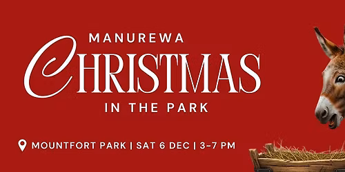 Manurewa Christmas in the Park