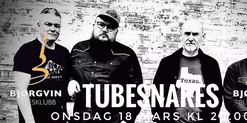 TUBESNAKES \/\/ BJ\u00d8RGVIN BLUESKLUBB
