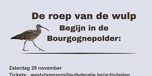 De roep van de wulp: Begijn in de Bourgognepolder:  