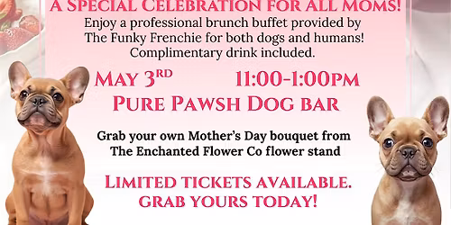 Dog Friendly Mother's Day Brunch with The Funky Frenchie