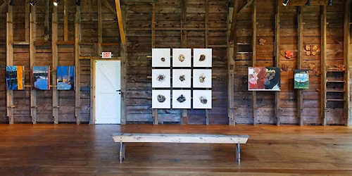 GALLERY TALK: SECOND NATURE