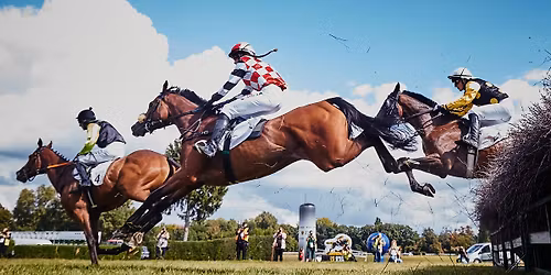 5 dzie\u0144 wy\u015bcigowy 2026 - Ladies Day