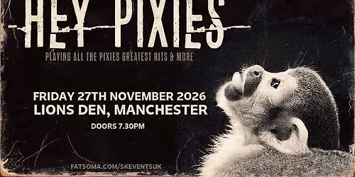 Hey Pixies - A Tribute To Pixies - Lions Den, Manchester