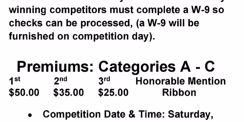 Timed Competition (Sponsored by Big Brother's Bricks)