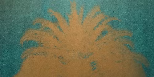 a-Musik Sp\u00e4tkauf: Viola Klein