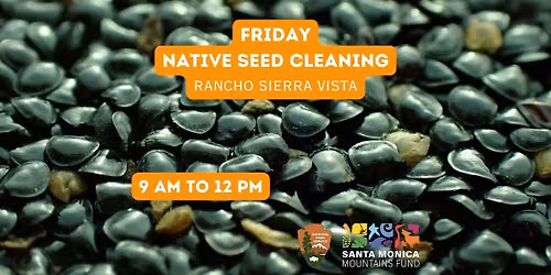 Seed Cleaning