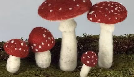 Fungi Fun with Patsy Frasier