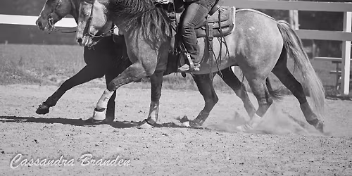 Heart & Hooves Ranch Riding Association (HHRRA) Shows @NWEC Hayward WI