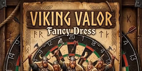 Vikings fancy dress 