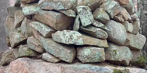 Talk and Walk with Markham Starr