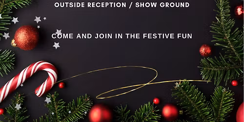 Christmas light switch on