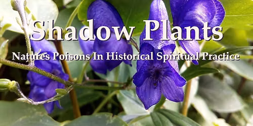 Shadow Plants: Nature's Poisons In Historical Spiritual Practice