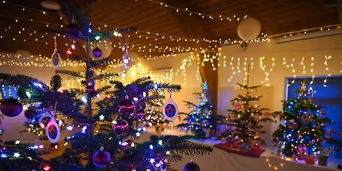 Lyme Regis Christmas Tree Festival