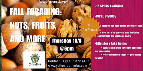 Fall Foraging! - Homestead Anywhere Series