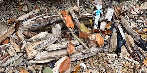 Natural Wonders: Fairy Home Building