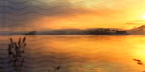 Brzegi dobrej Rzeki - o prawdziwych potrzebach pacjent\u00f3w prosz\u0105cych o \u015bmier\u0107