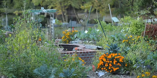 We Love Crystal Lake Spring Garden Celebration